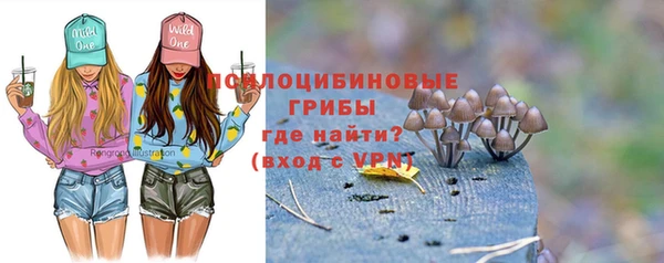 амф Богданович