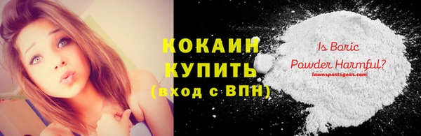 дурь Богородицк