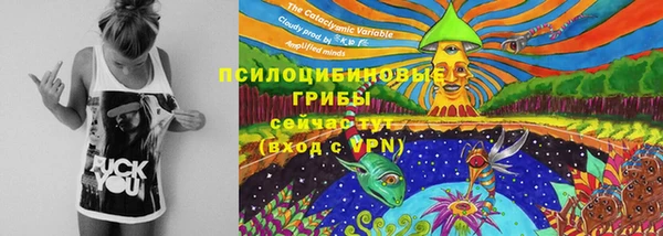 дурь Богородицк