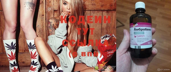 амф Богданович