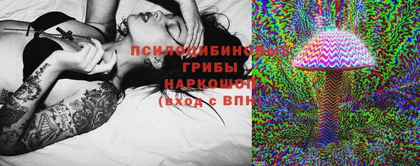 амф Богданович