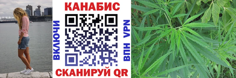 Марихуана гибрид Кочубеевское