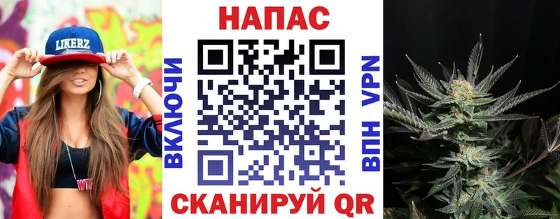 darknet наркотические препараты  ОМГ ОМГ ссылки  Конопля индика  Кочубеевское  сколько стоит 
